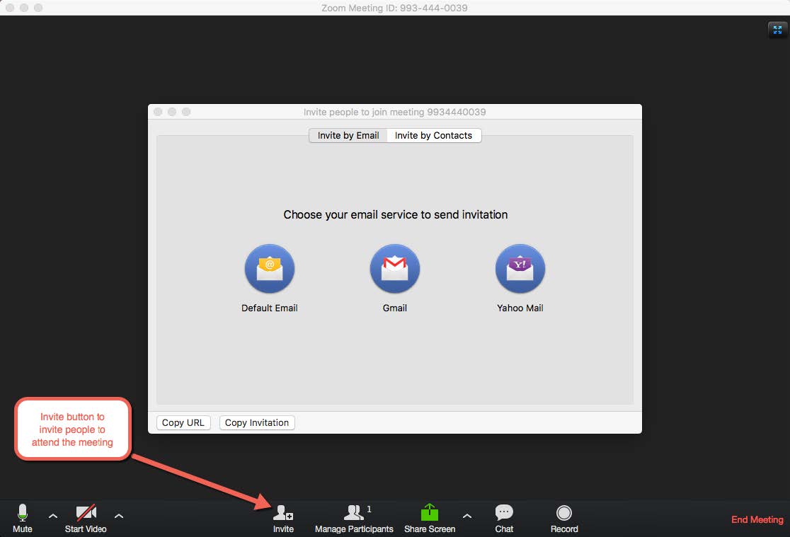 Zoom invite panel