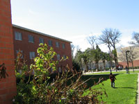SJSU Washburn hall bricks green space