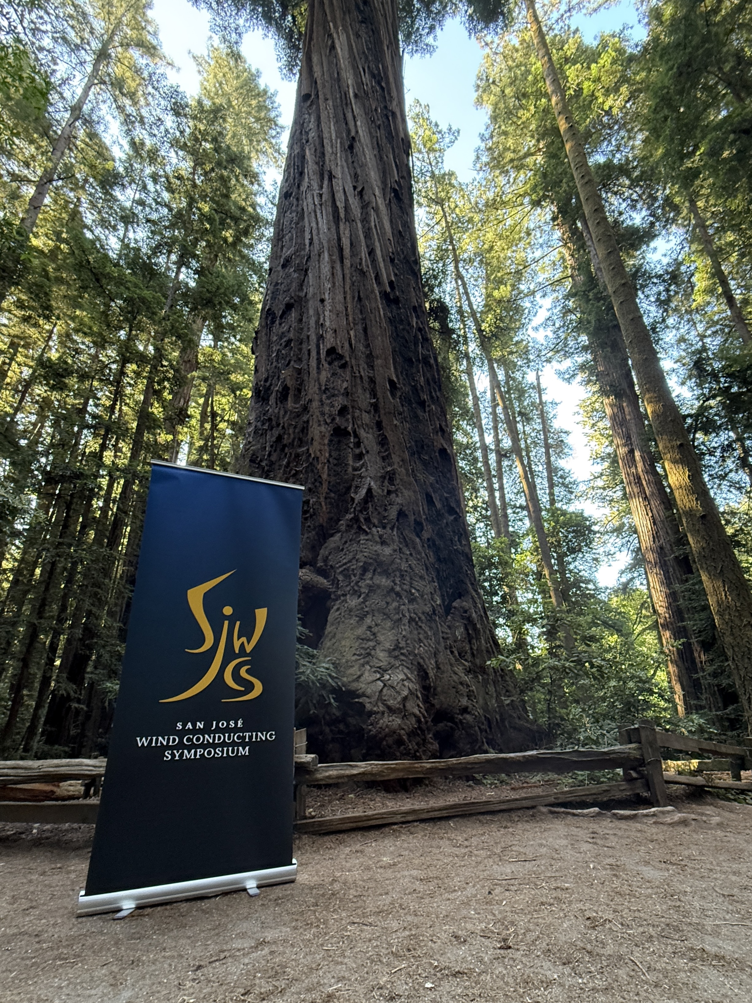 Redwoods