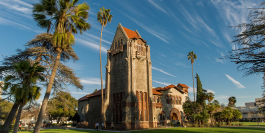 Tower lawn